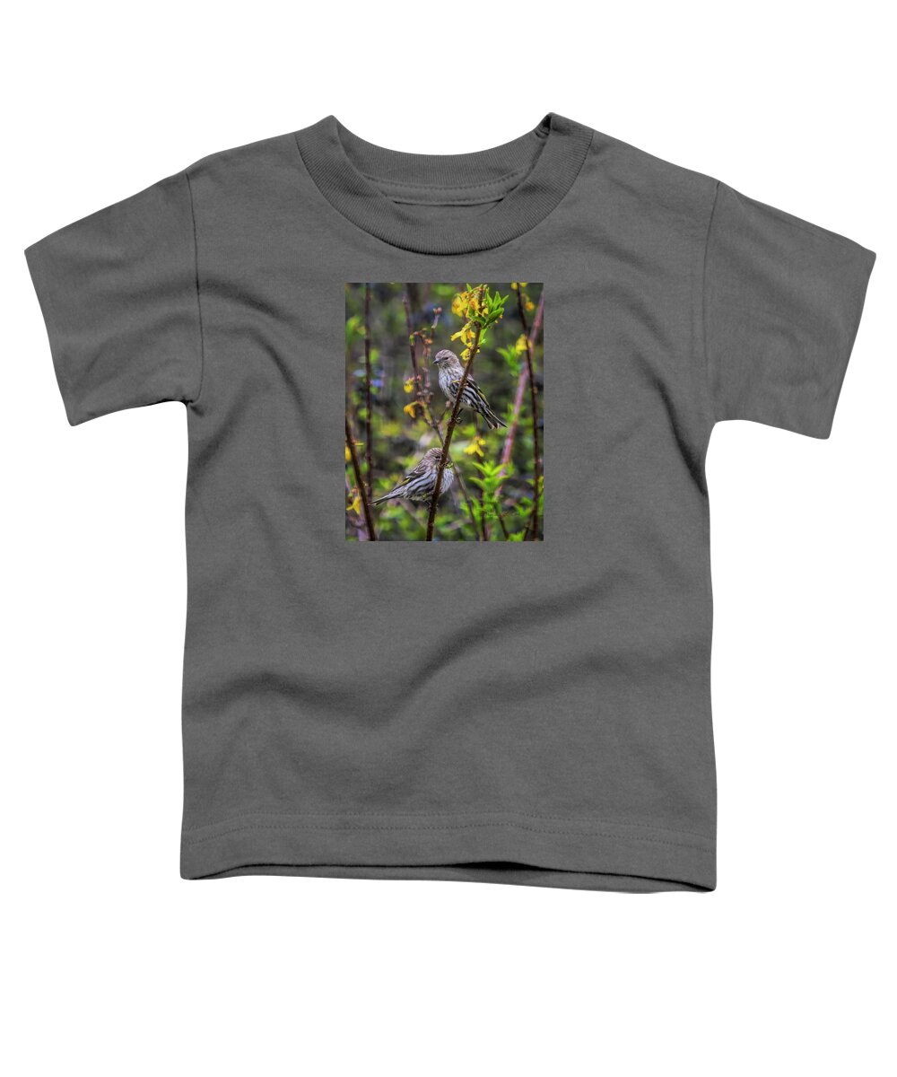 Pine Siskin Toddler T-Shirt featuring the photograph Pine Siskin In SOuth Carolina by Bellesouth Studio