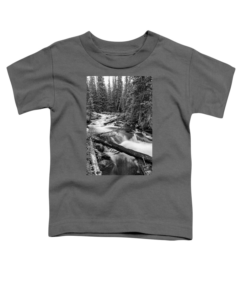 Rocky Toddler T-Shirt featuring the photograph Pine Tree Forest Creek Portrait In Black and White by James BO Insogna