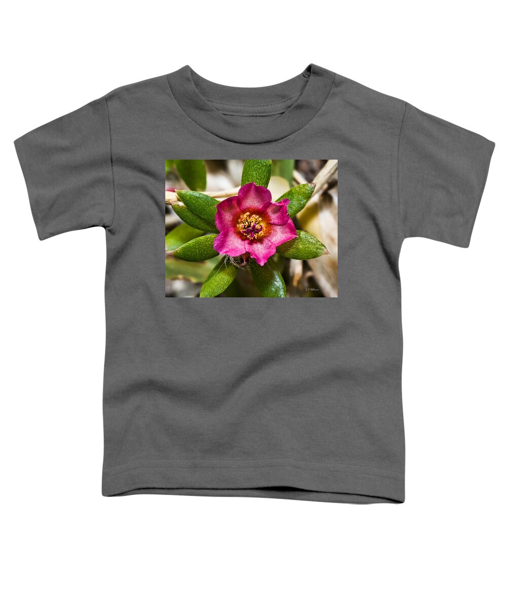 Flower Toddler T-Shirt featuring the photograph Pink And Gold by Christopher Holmes