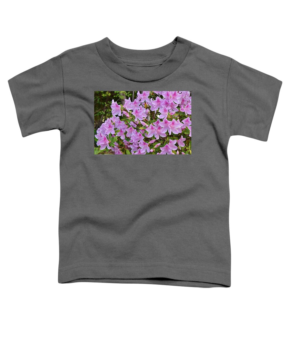 Linda Brody Toddler T-Shirt featuring the photograph Pink Rhododendron 1 by Linda Brody