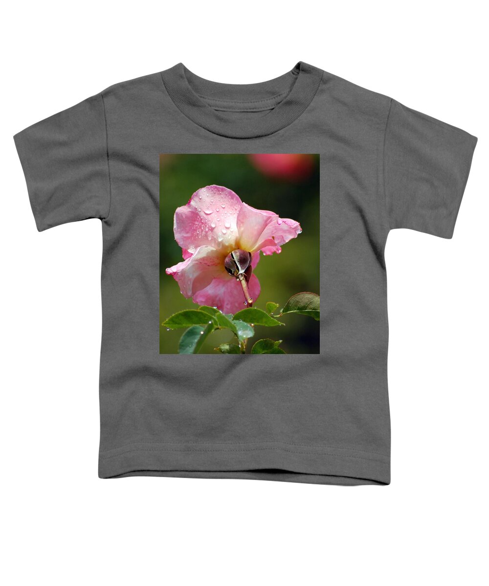Rose Toddler T-Shirt featuring the photograph Pink Rose in the Rain 2 by Amy Fose