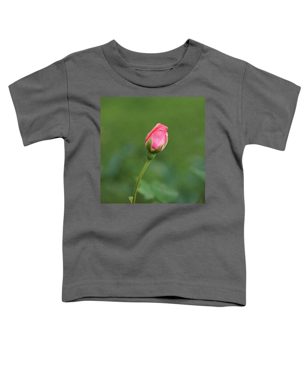 Pink Rose Toddler T-Shirt featuring the photograph Pink Rosebud by Sandy Keeton
