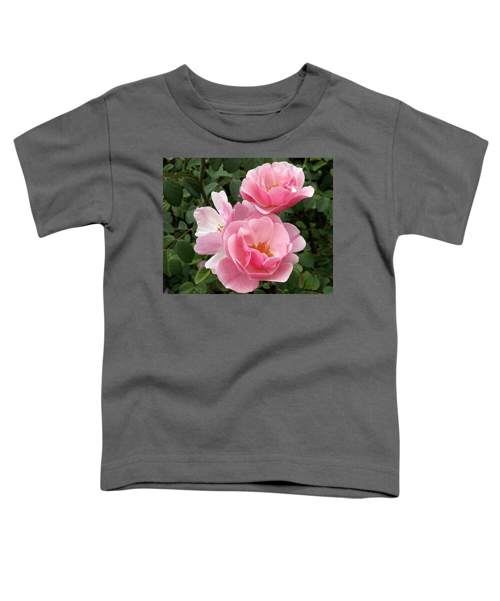 Pink Roses Toddler T-Shirt featuring the photograph Pink Roses 2 by Amy Fose