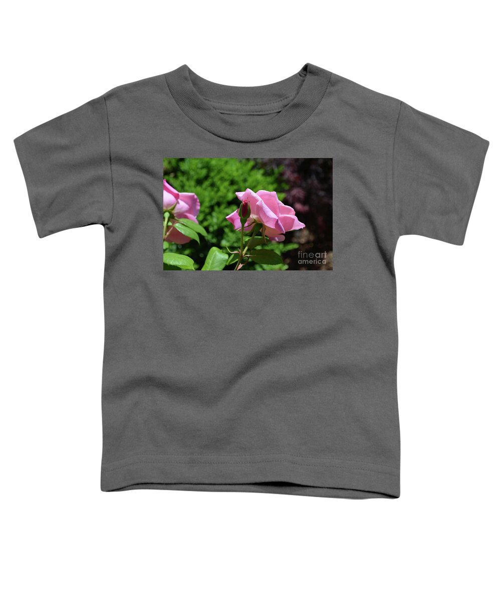 Rose Toddler T-Shirt featuring the photograph Pink Roses Blooming in a Summer Rose Garden by DejaVu Designs