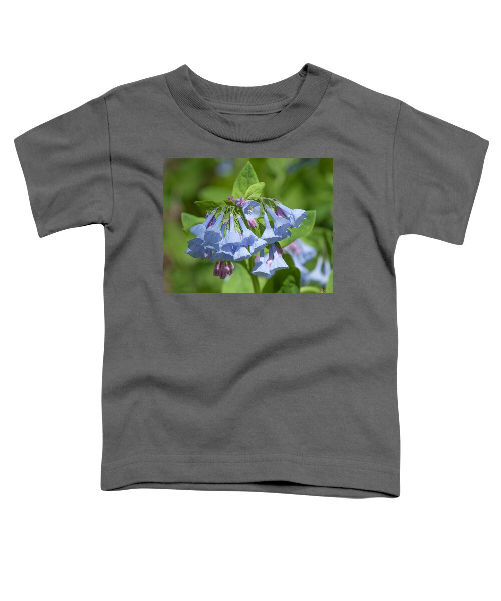 Nature Toddler T-Shirt featuring the photograph Pink Virginia Bluebells or Virginia Cowslip DSPF0336 by Gerry Gantt
