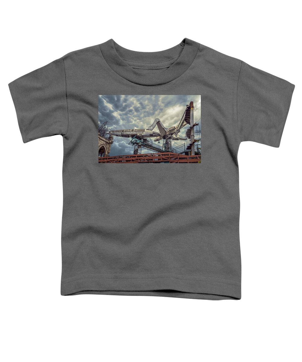 Abstract Toddler T-Shirt featuring the photograph Aerial Playground by Robert FERD Frank
