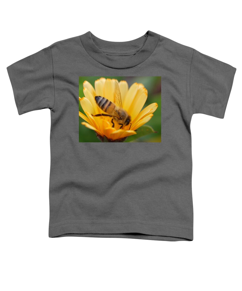 Bee Toddler T-Shirt featuring the photograph Pollination 2 by Amy Fose