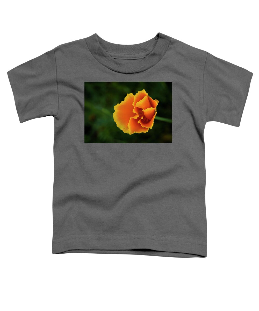 Nature Toddler T-Shirt featuring the photograph Poppy Orange by Steven Clark