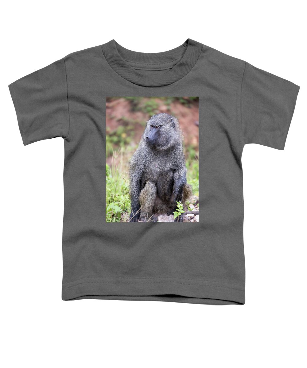 Africa Toddler T-Shirt featuring the photograph Portrait of Common Baboon by Karen Foley