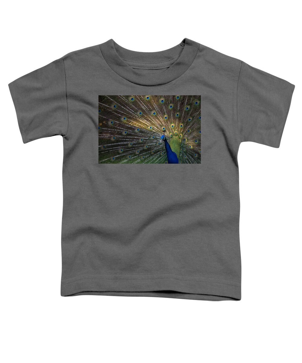 Peacock Toddler T-Shirt featuring the photograph Posing Peacock by Jim Neal