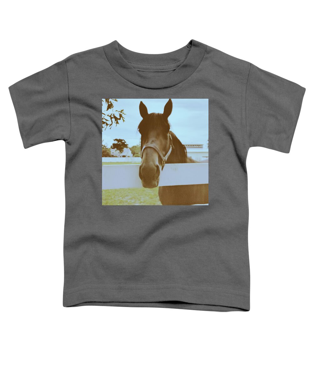 Hanover Shoe Farms Toddler T-Shirt featuring the photograph Posing Standardbred by Paul Kercher