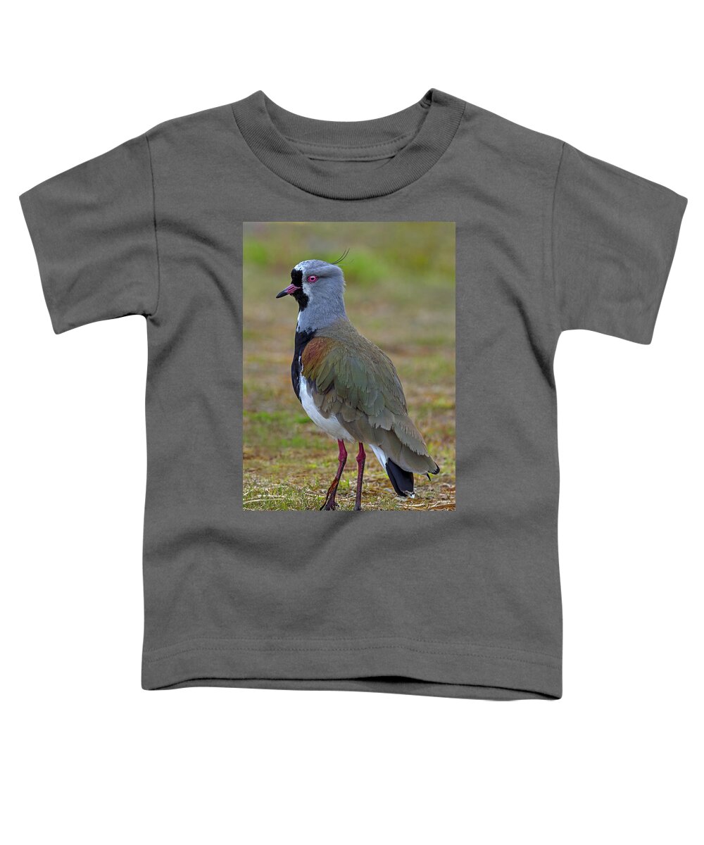 Lapwing Toddler T-Shirt featuring the photograph Positive Spurs by Tony Beck