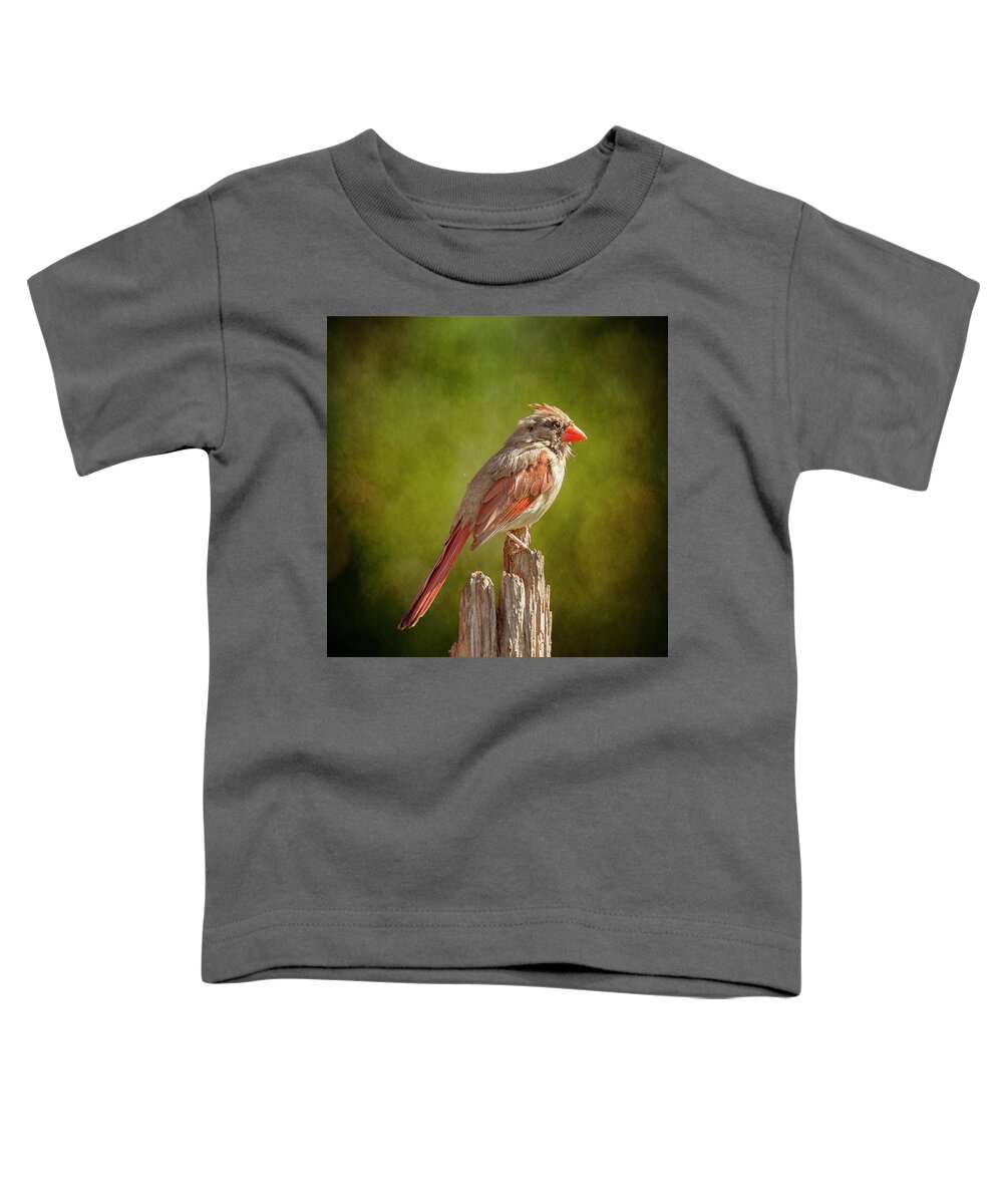 Northern Cardinal Toddler T-Shirt featuring the photograph Posted Female Cardinal Sunny Green by Bill and Linda Tiepelman