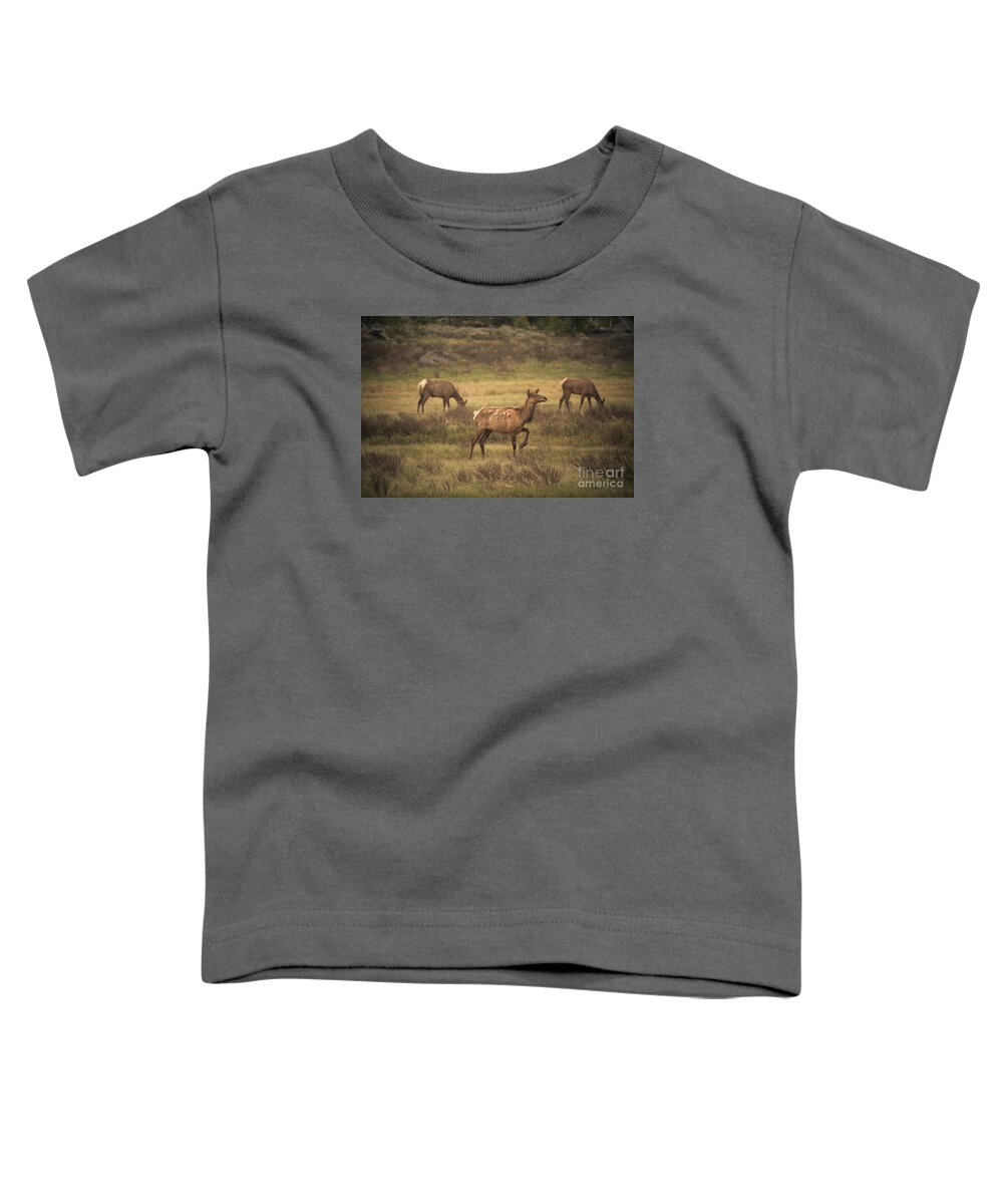 Photography Toddler T-Shirt featuring the photograph Prancing Elk by Robert Bales