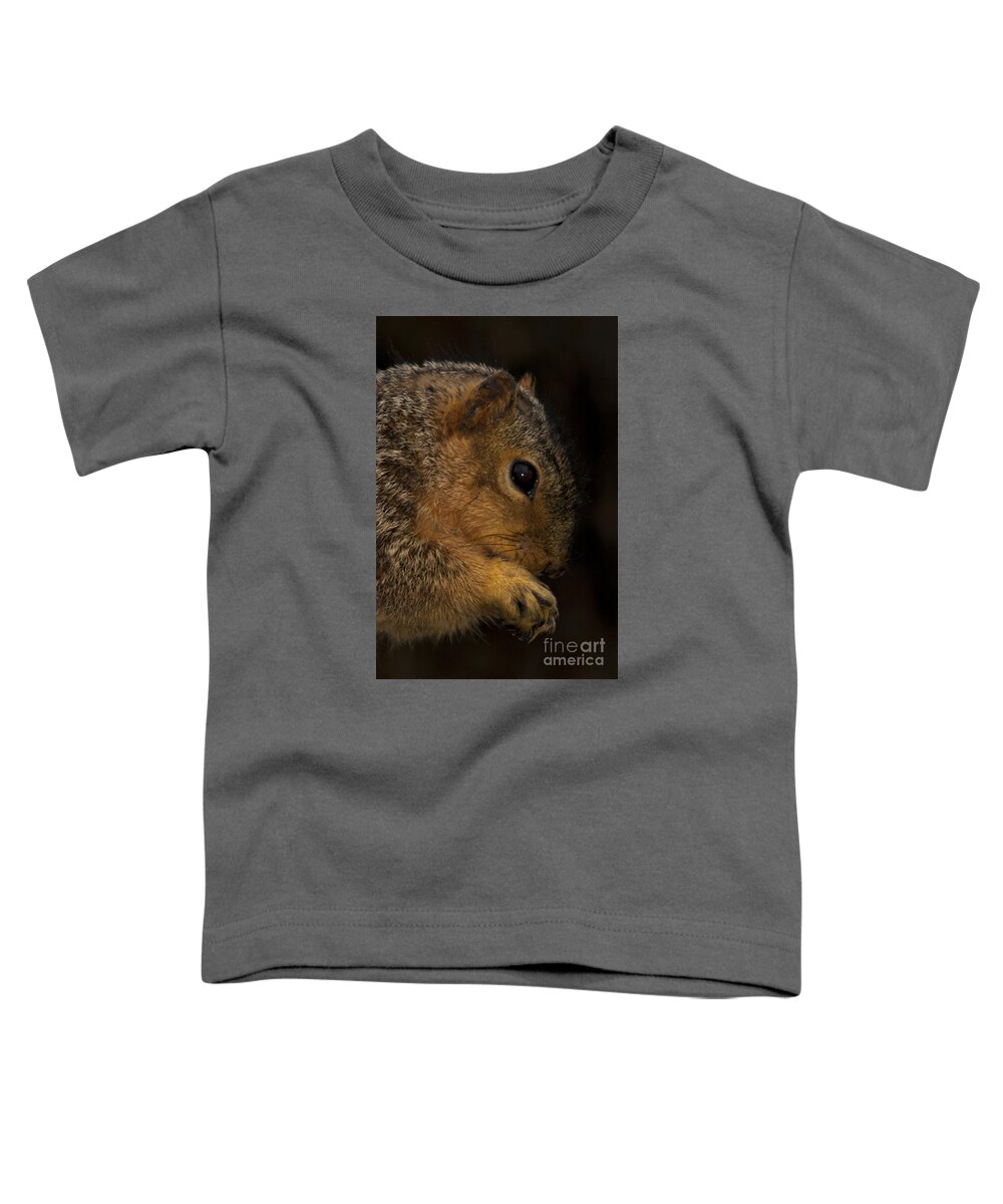 Praying Squirrel Toddler T-Shirt featuring the photograph Praying Squirrel by John Harmon