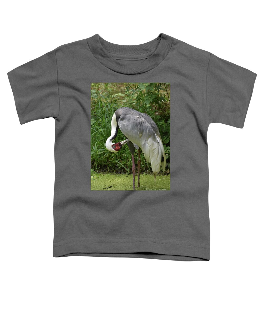 White-naped-crane Toddler T-Shirt featuring the photograph Preening White Naped Crane Cleaning Feathers by DejaVu Designs