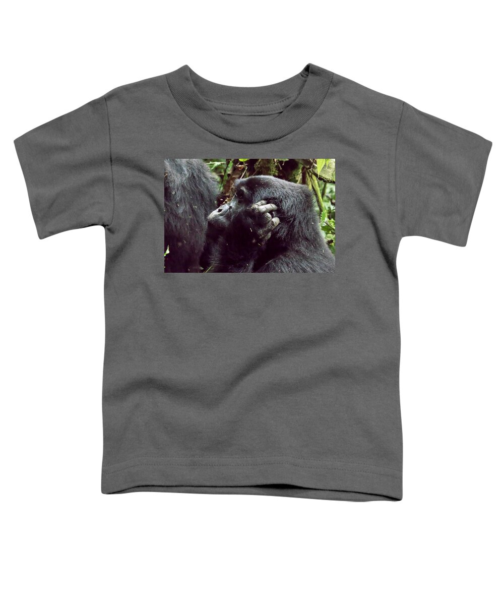 Africa Toddler T-Shirt featuring the photograph Profile of female mountain gorilla, Bwindi Impenetrable Forest N by Karen Foley