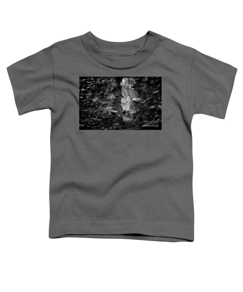 Tower Toddler T-Shirt featuring the photograph Protecting the Crown by David Rucker