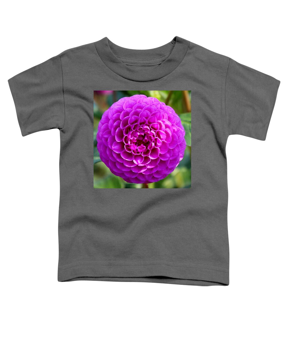 Dahlia Toddler T-Shirt featuring the photograph Purple Dahlia by Brian Eberly