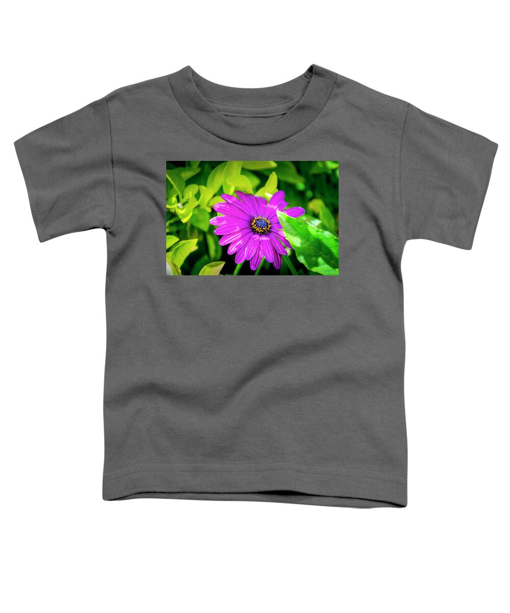 Flower Toddler T-Shirt featuring the photograph Purple Flower by Daniel Murphy