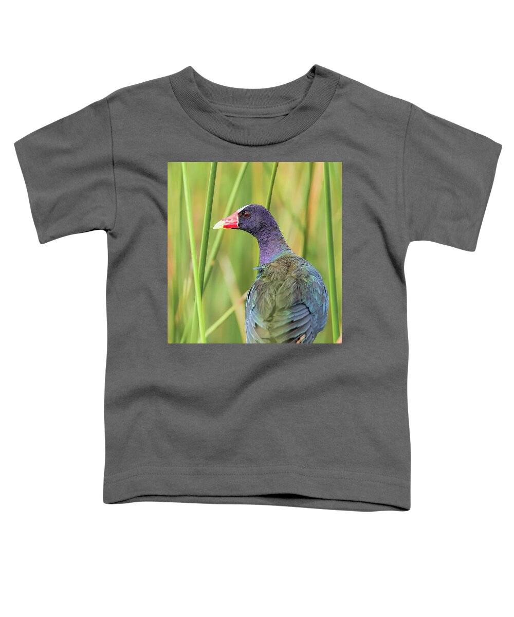 Purple Toddler T-Shirt featuring the photograph Purple Gallinule by Richard Goldman