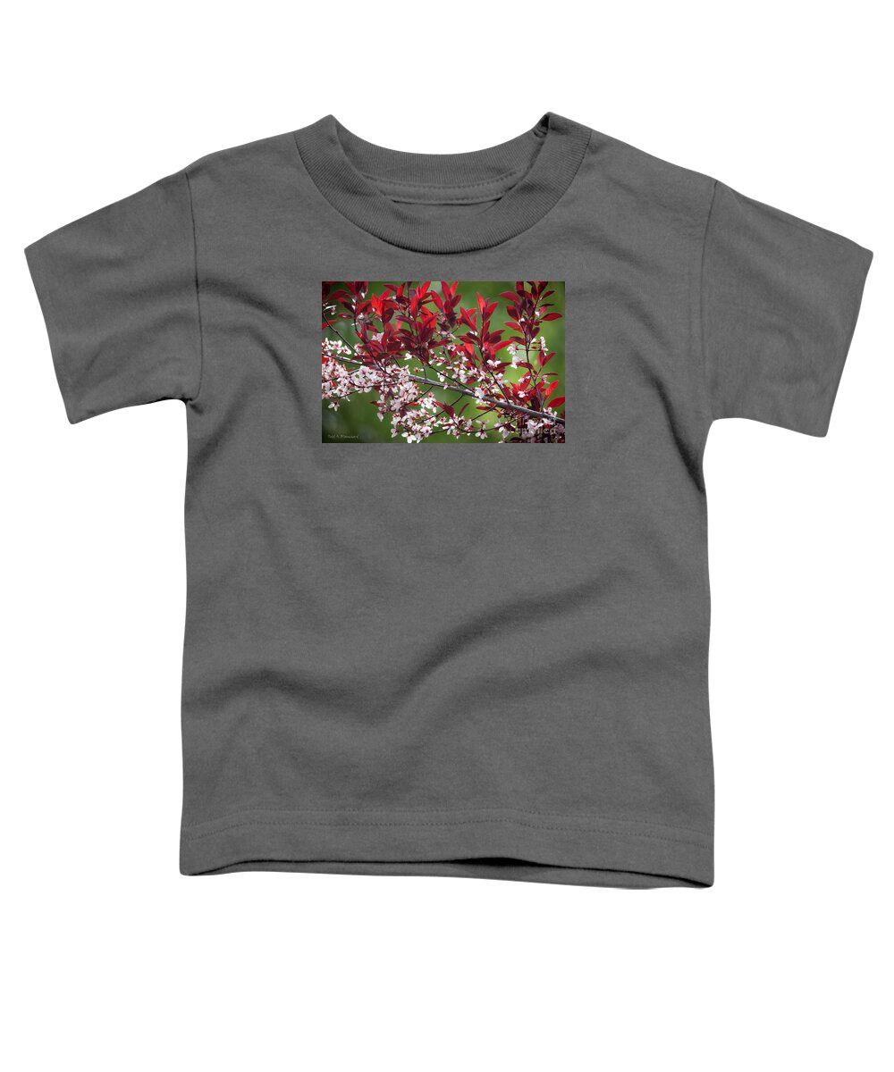 Tennessee Toddler T-Shirt featuring the photograph Purple Leaf Plum No. 3 by Todd Blanchard