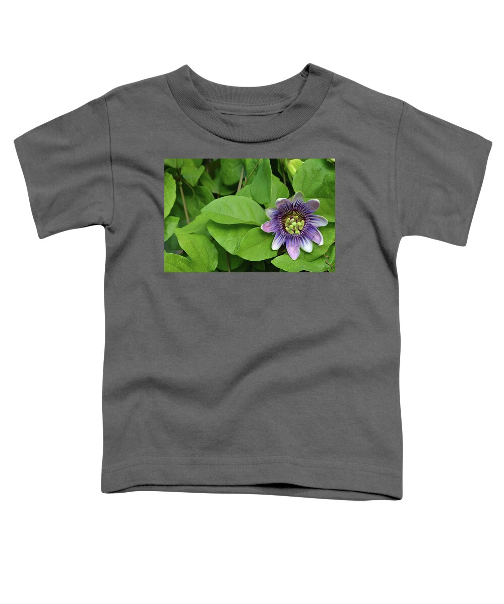 Passion Flower Toddler T-Shirt featuring the photograph Purple Passion Floral by Aimee L Maher ALM GALLERY