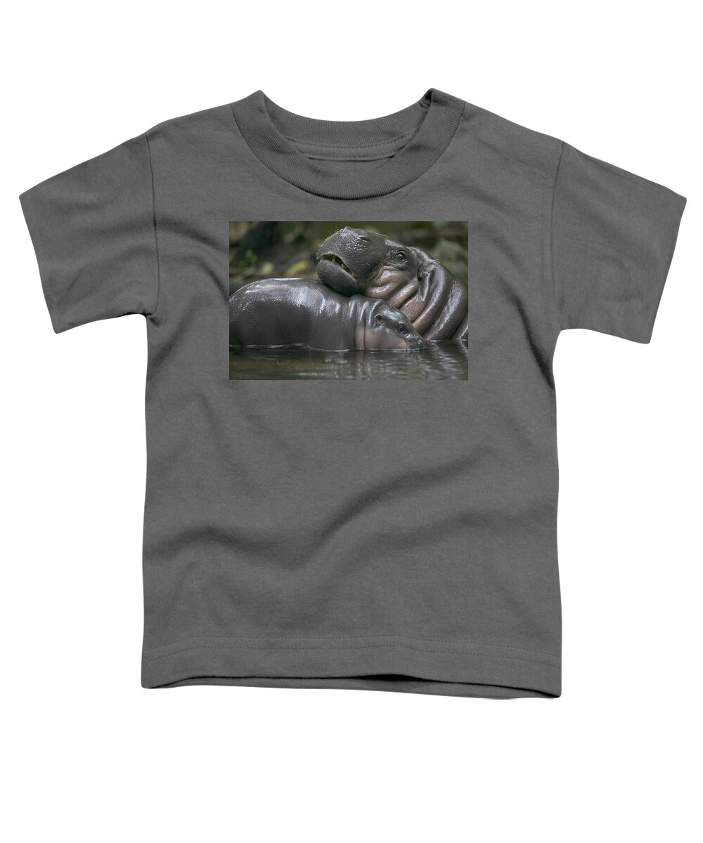 00620394 Toddler T-Shirt featuring the photograph Pygmy Hippopotamus Hexaprotodon Liberiensis by Cyril Ruoso