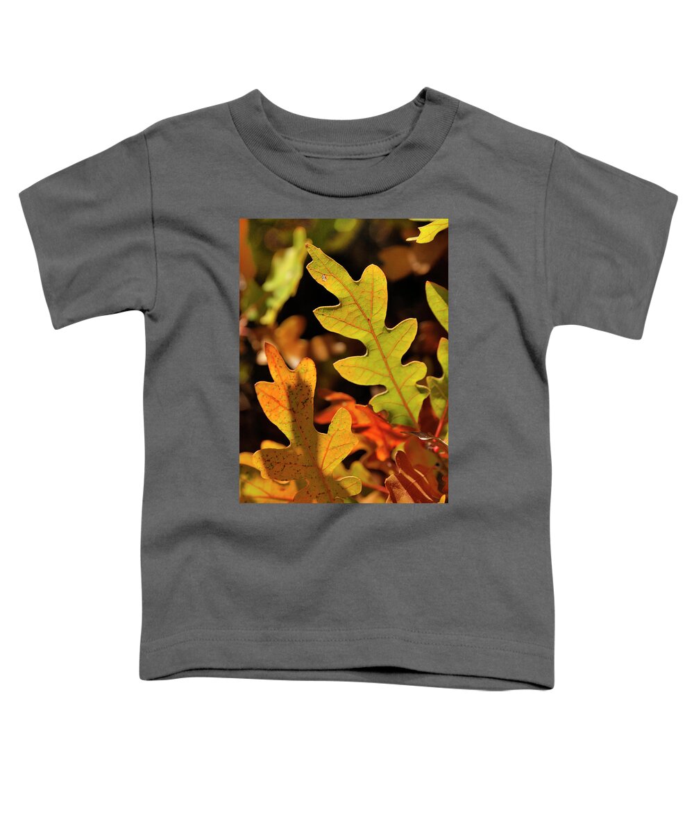 Nature Toddler T-Shirt featuring the photograph Pygmy Oak II by Ron Cline