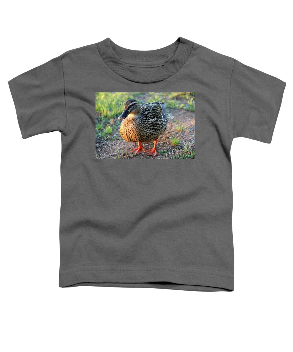 Duck Toddler T-Shirt featuring the photograph Quack by Christy Pooschke