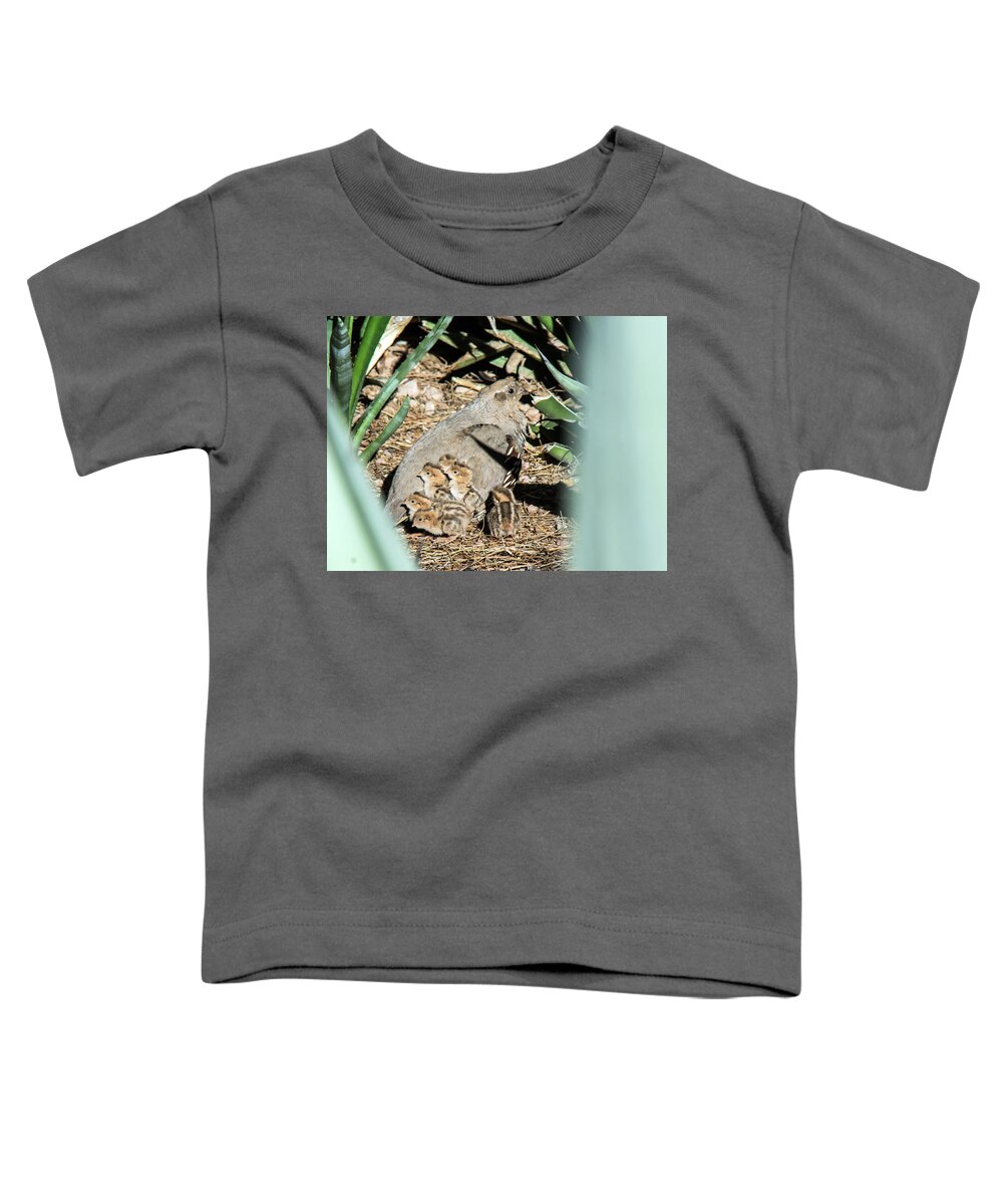 Quail Toddler T-Shirt featuring the photograph Quail Parent and Chicks 0081-051917 by Tam Ryan