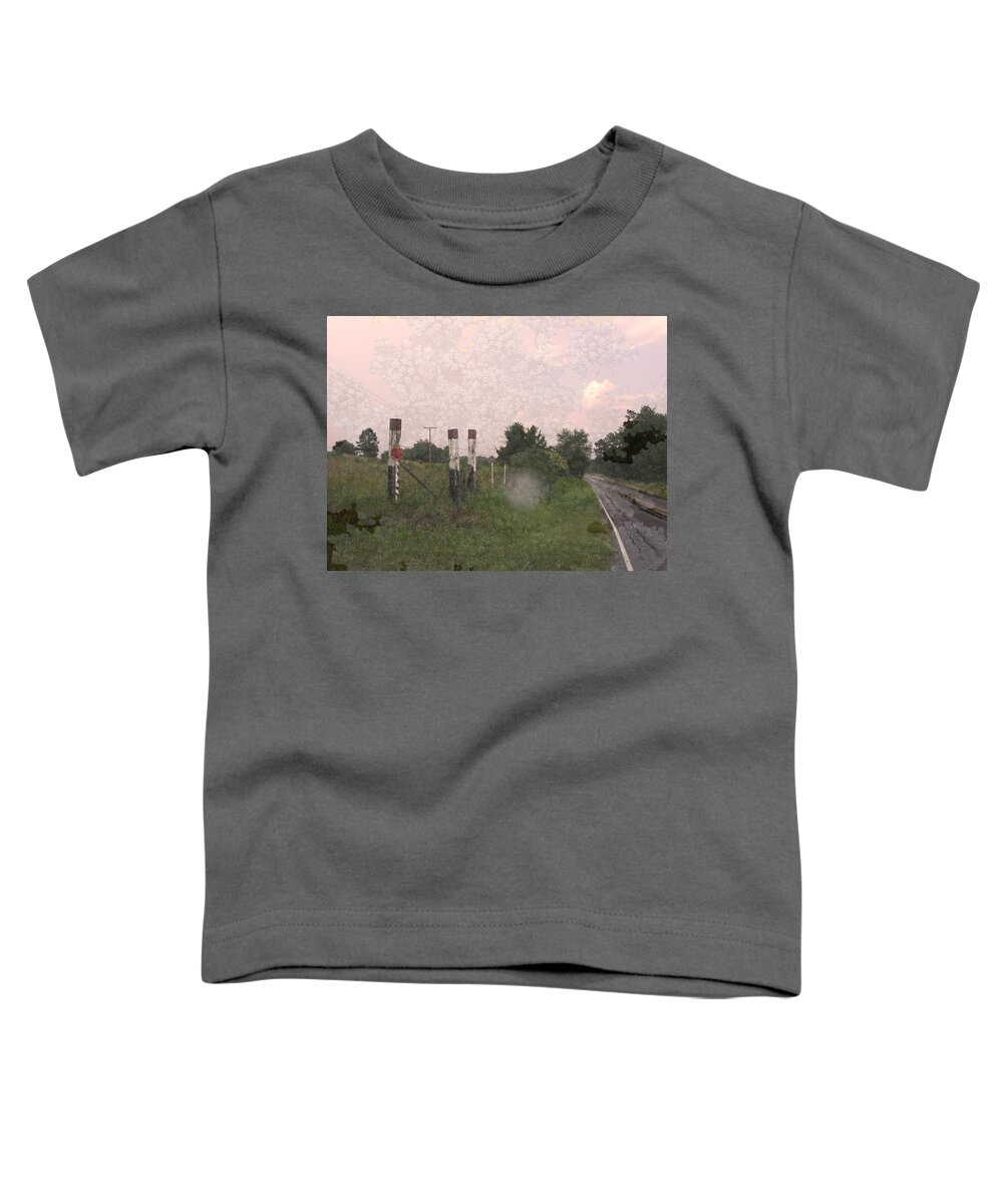 Road Toddler T-Shirt featuring the photograph Queen Anne Road by Anne Cameron Cutri