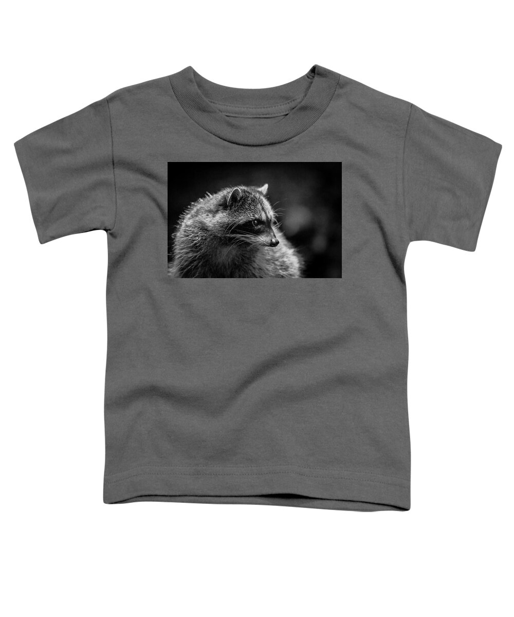 Wildlife Toddler T-Shirt featuring the photograph Raccoon 3 by Jason Brooks