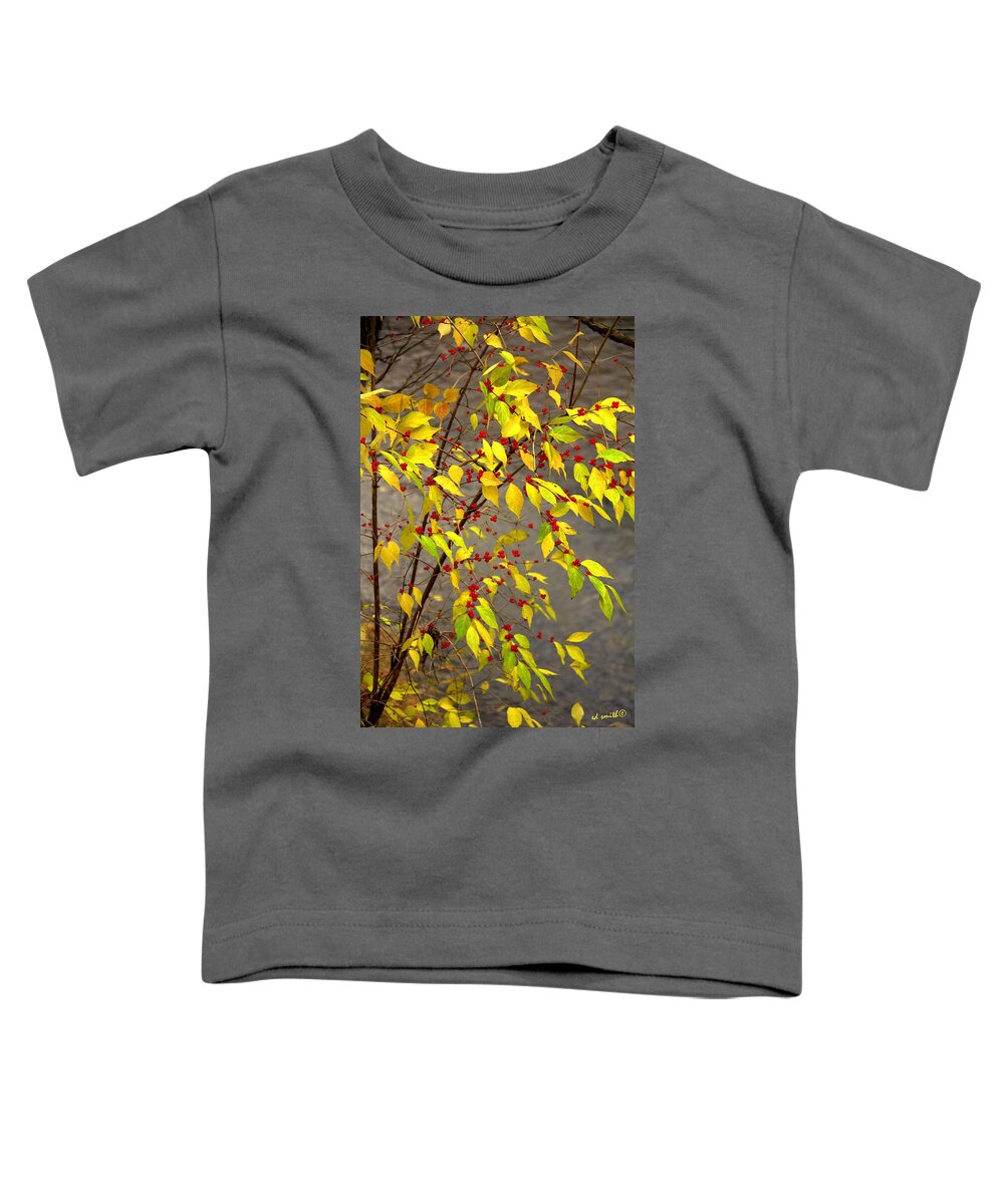 Raccoon Snacks Toddler T-Shirt featuring the photograph Raccoon Snacks by Edward Smith