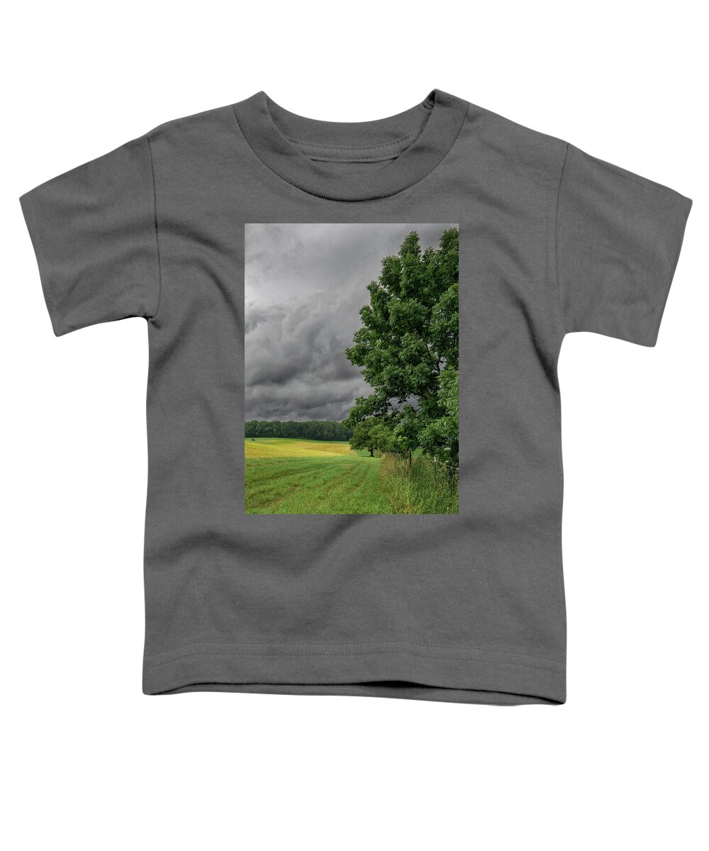 Connecticut Toddler T-Shirt featuring the photograph Rain is Coming by Phil Cardamone