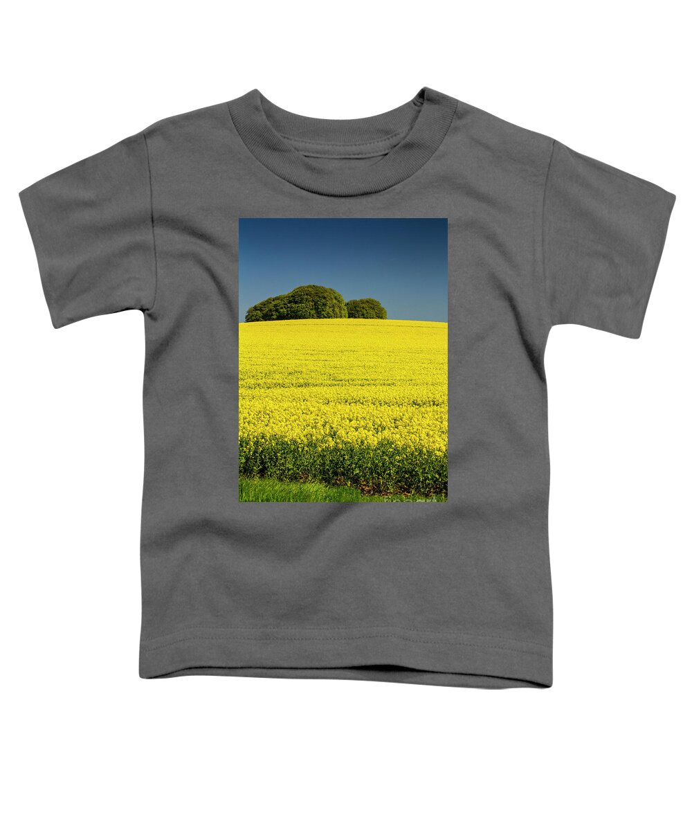 Rapeseed Toddler T-Shirt featuring the photograph Rapeseed field by Sheila Smart Fine Art Photography