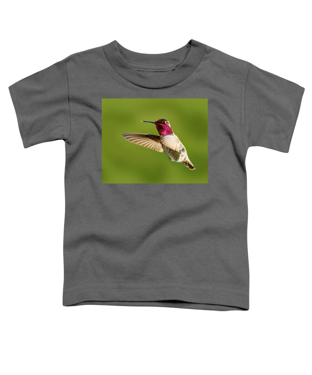 Raspberry Toddler T-Shirt featuring the photograph Raspberry -- Anna's Hummingbird in Templeton, California by Darin Volpe