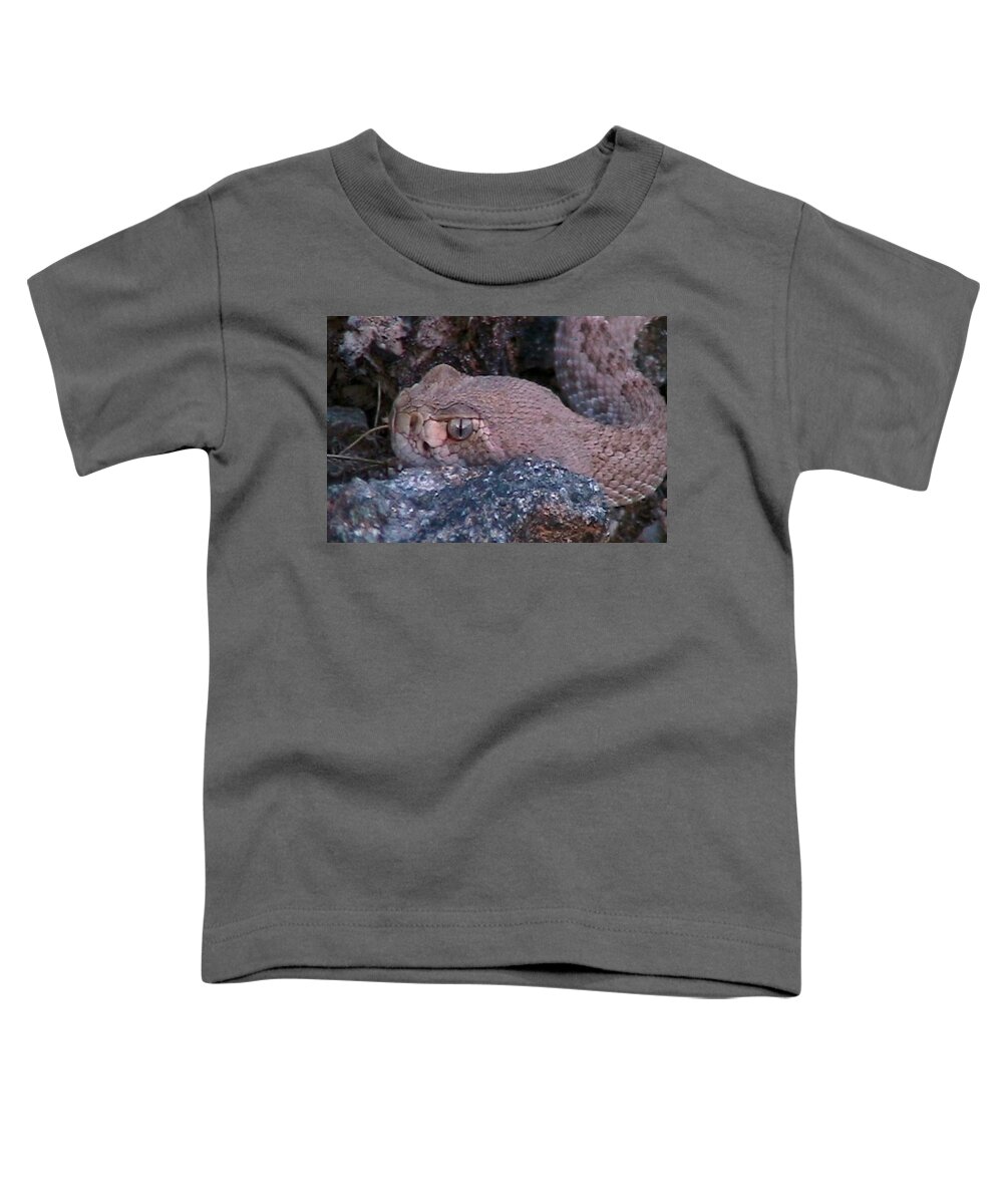 Rattlers Toddler T-Shirt featuring the photograph Rattlesnake Portrait by Judy Kennedy