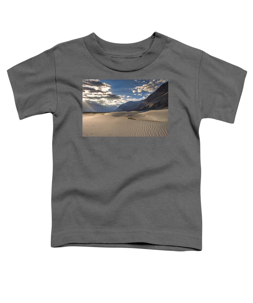 Rays Toddler T-Shirt featuring the photograph Rays on dunes by Hitendra SINKAR