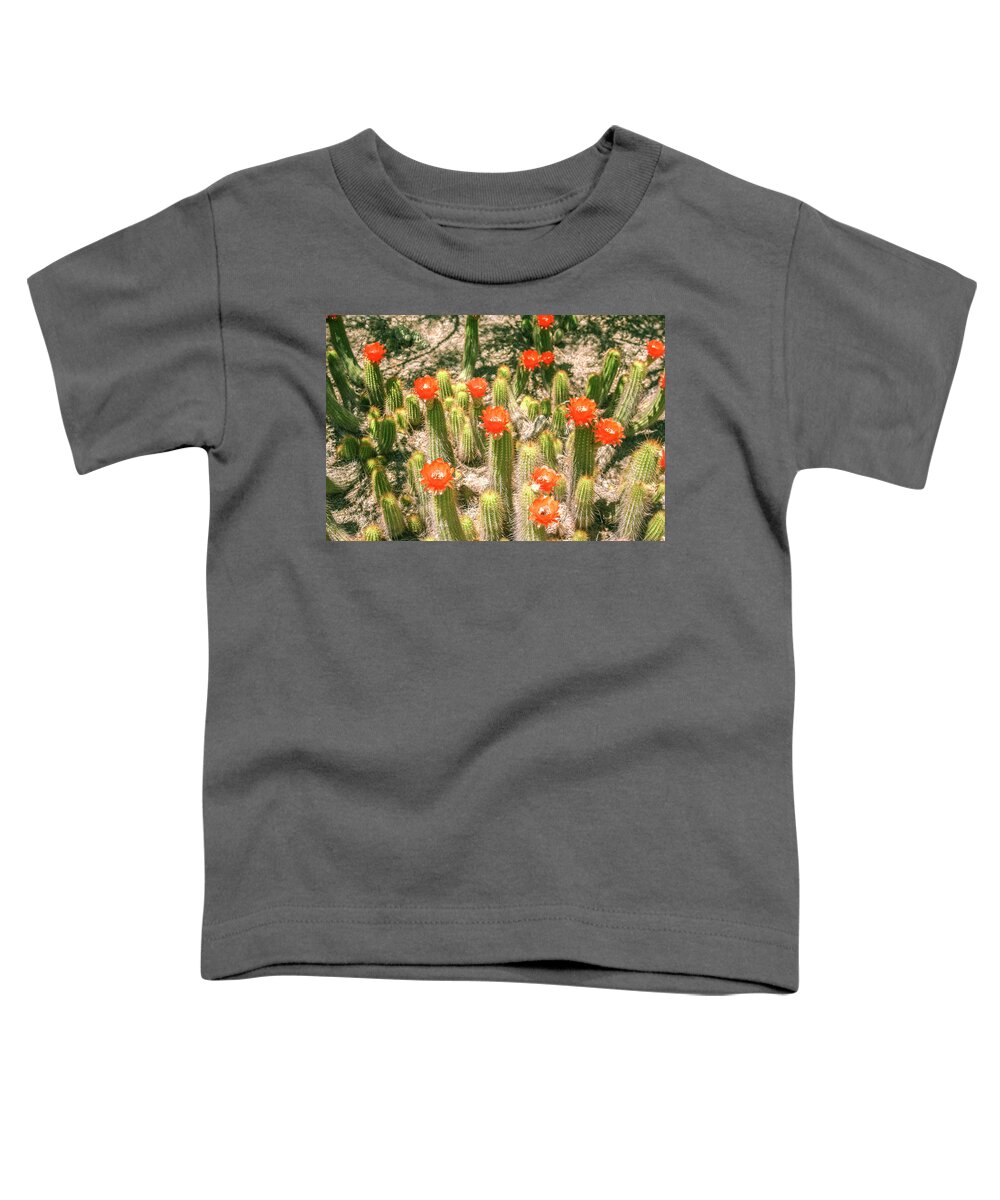 Cactus Toddler T-Shirt featuring the photograph Reach for the sky by Darrell Foster