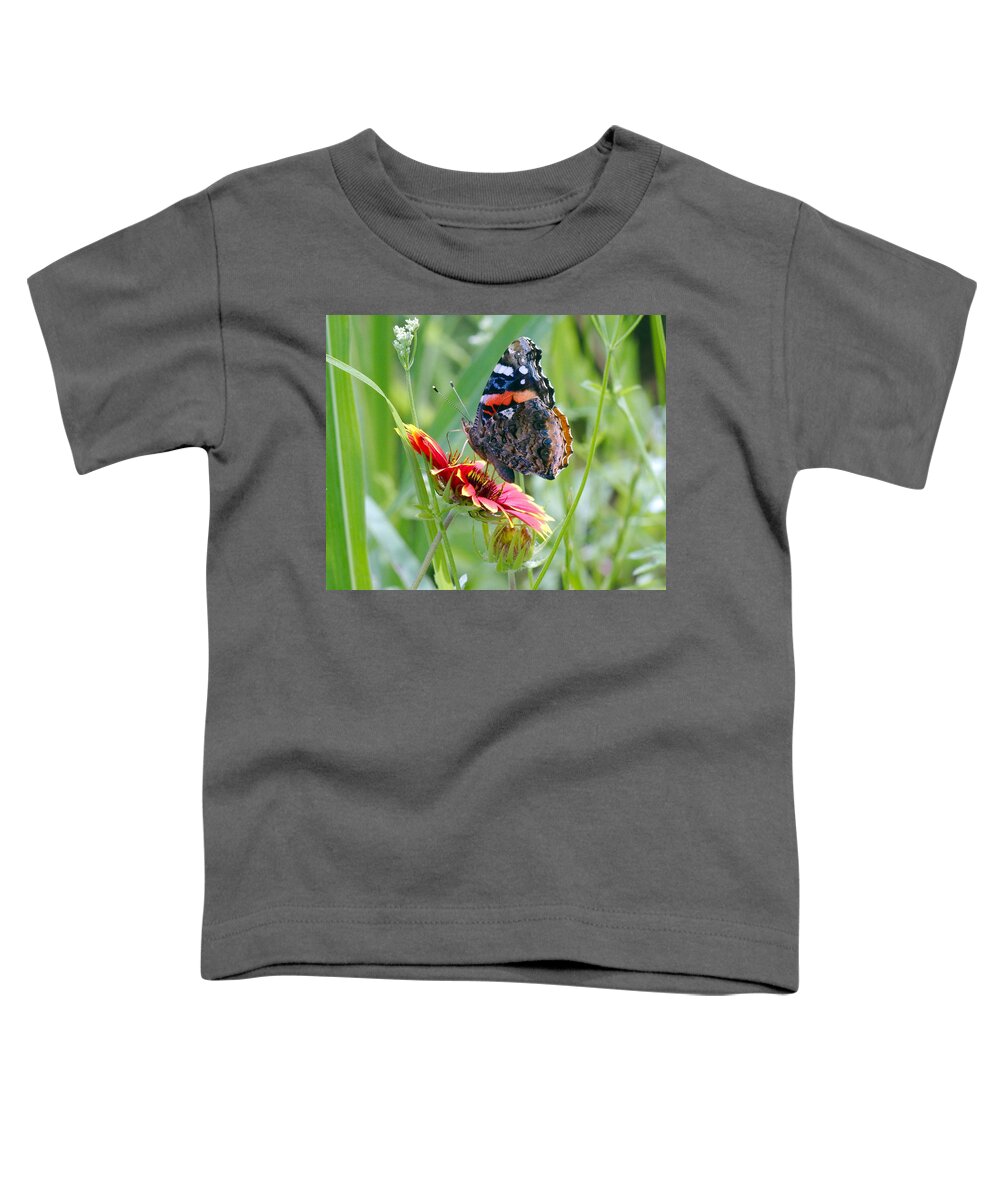 Butterfly Toddler T-Shirt featuring the photograph Red Admiral by James Smullins