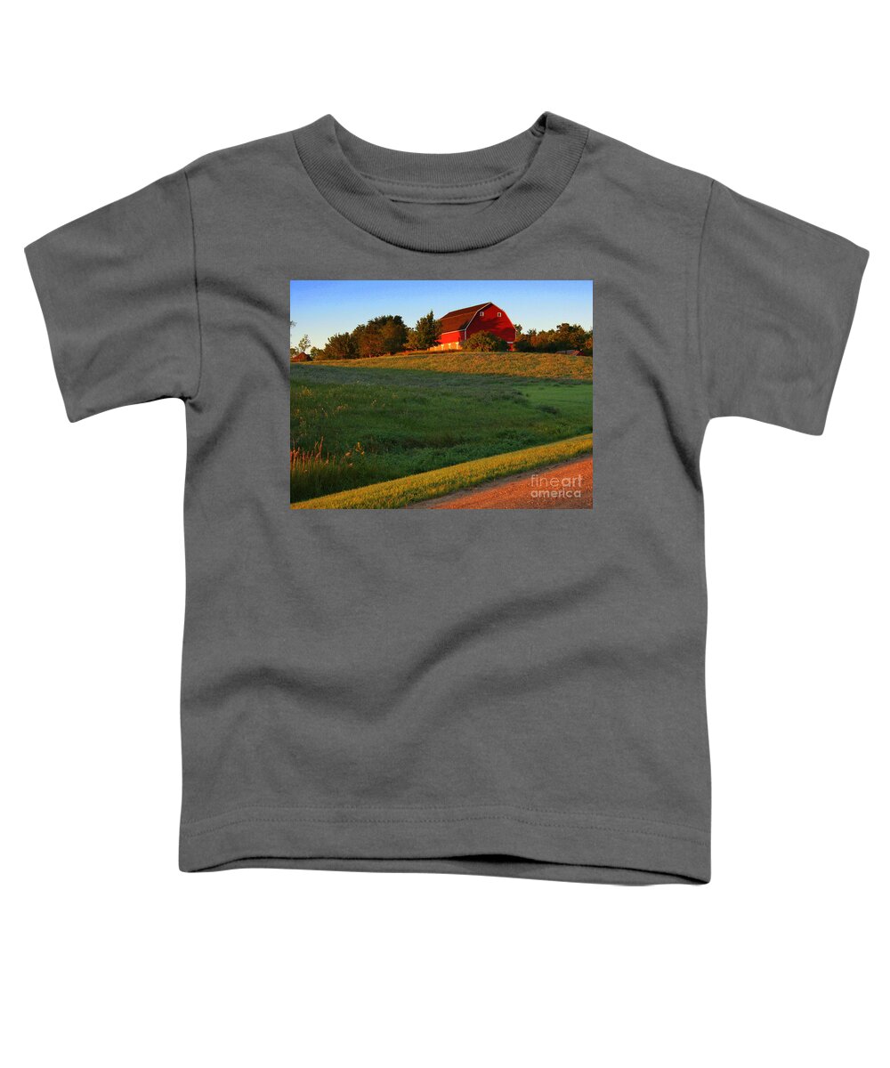 Barn Toddler T-Shirt featuring the photograph Red Barn on the Hill by Julie Lueders 