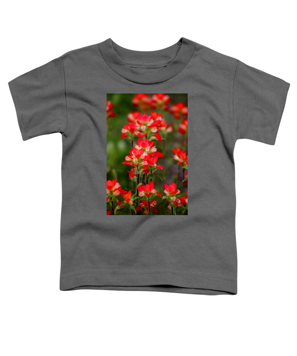 James Smullins Toddler T-Shirt featuring the photograph Red beauties by James Smullins