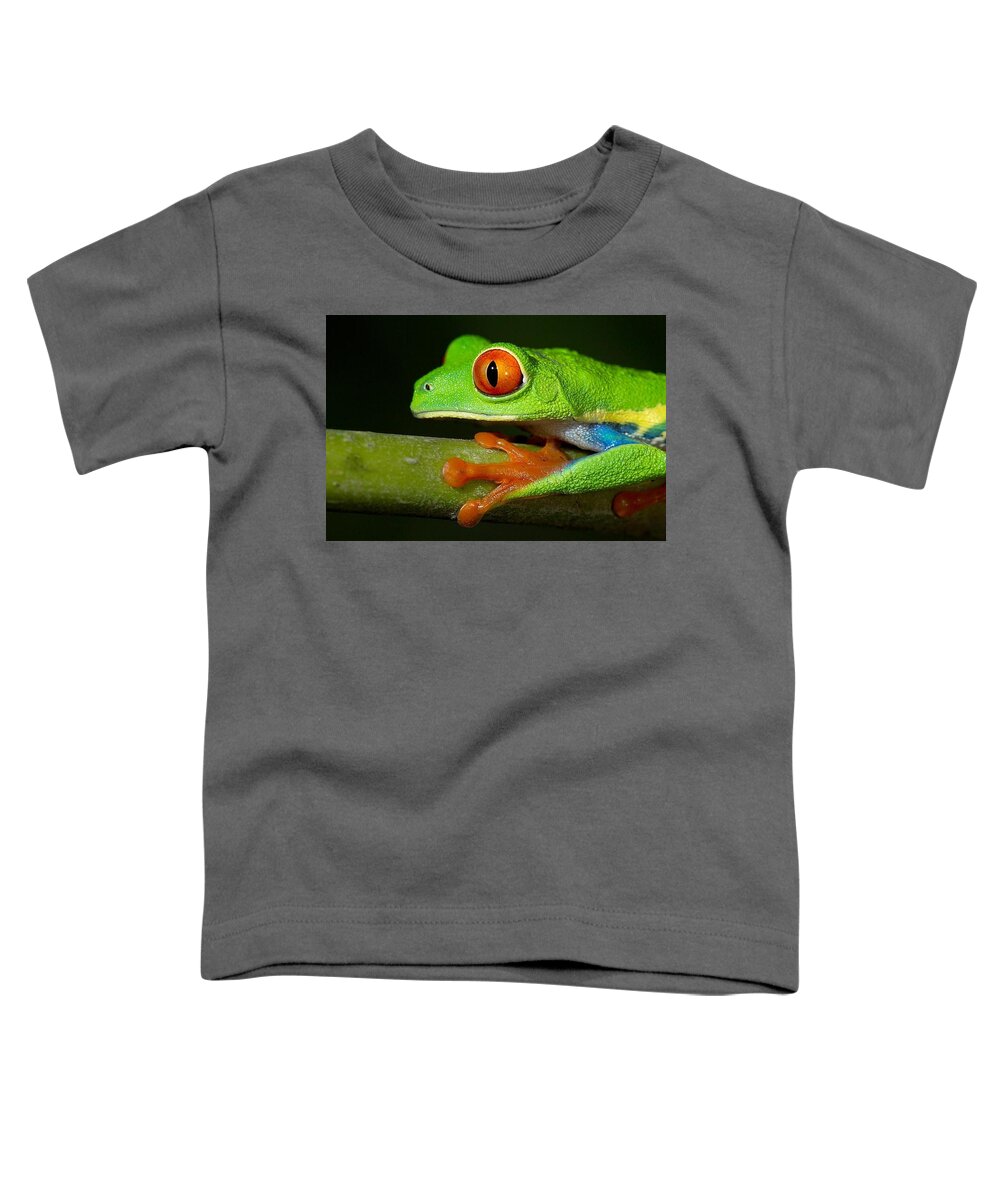 Red Eyed Tree Frog Toddler T-Shirt featuring the digital art Red Eyed Tree Frog by Maye Loeser