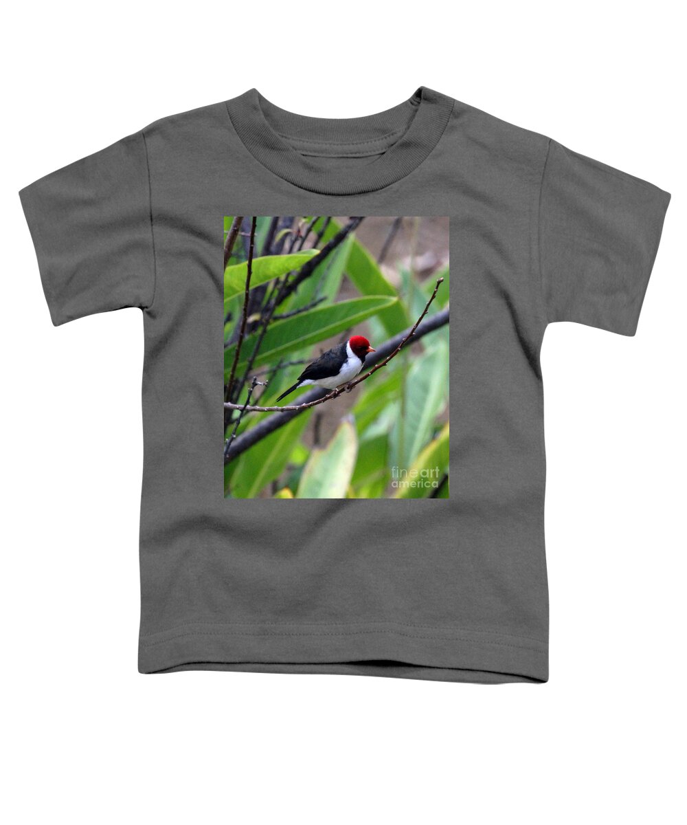 Red Head Toddler T-Shirt featuring the photograph Red Head by Jennifer Robin