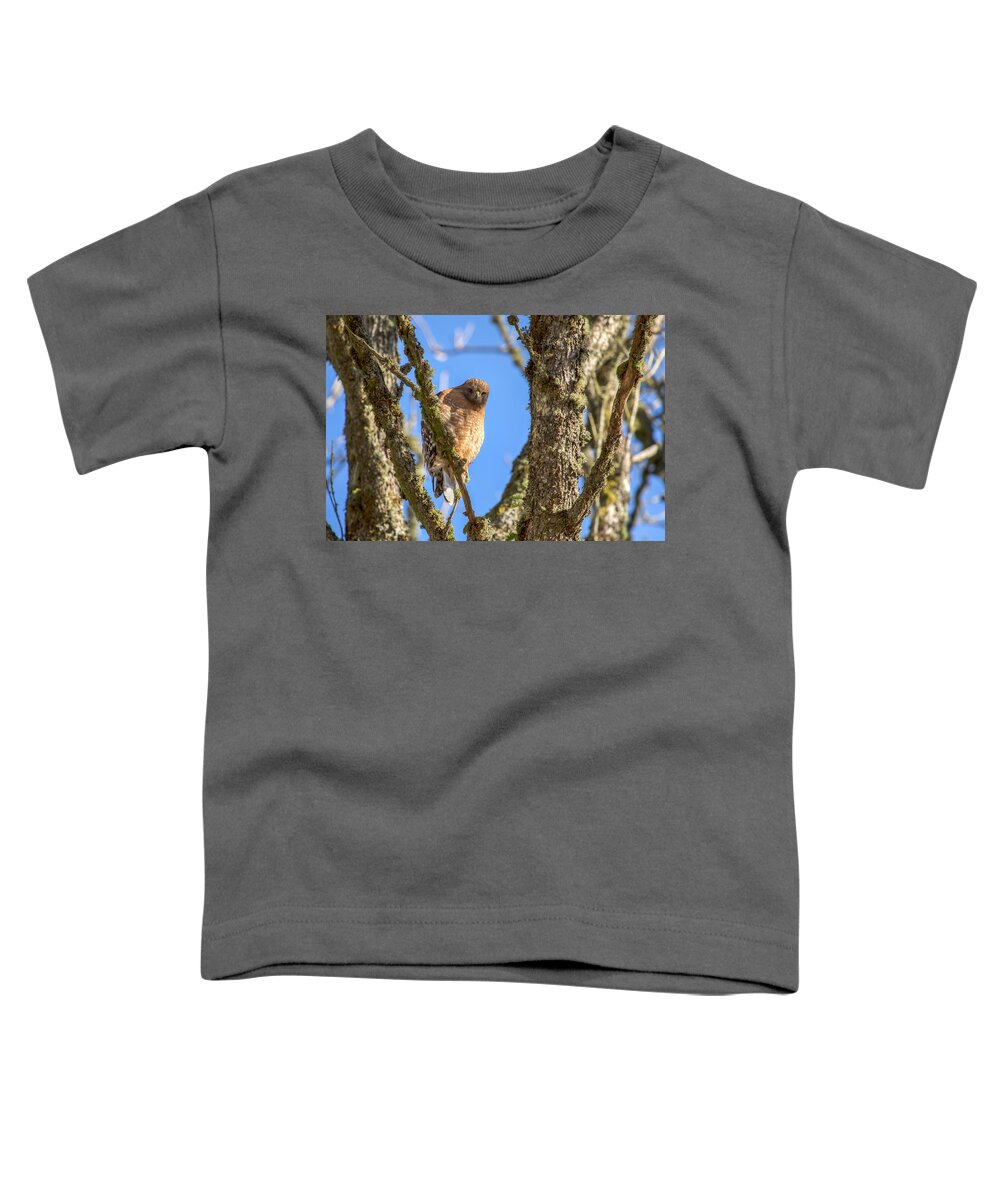 Red-shouldered Hawk Toddler T-Shirt featuring the photograph Red-shouldered Hawk 0743 by Kristina Rinell