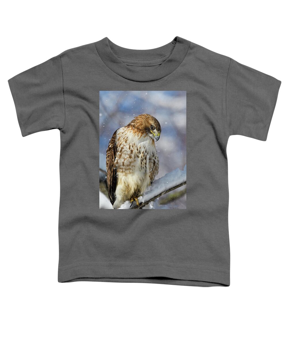 Red Tailed Hawk Toddler T-Shirt featuring the photograph Red Tailed Hawk, Glamour Pose by Michael Hubley