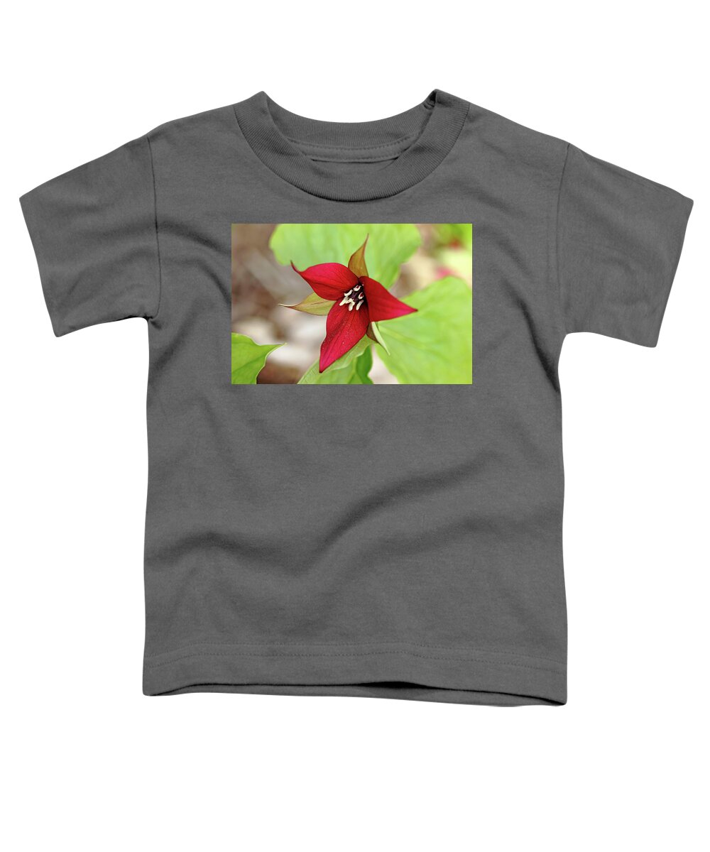 Red Trillium Toddler T-Shirt featuring the photograph Red Trillium by Debbie Oppermann