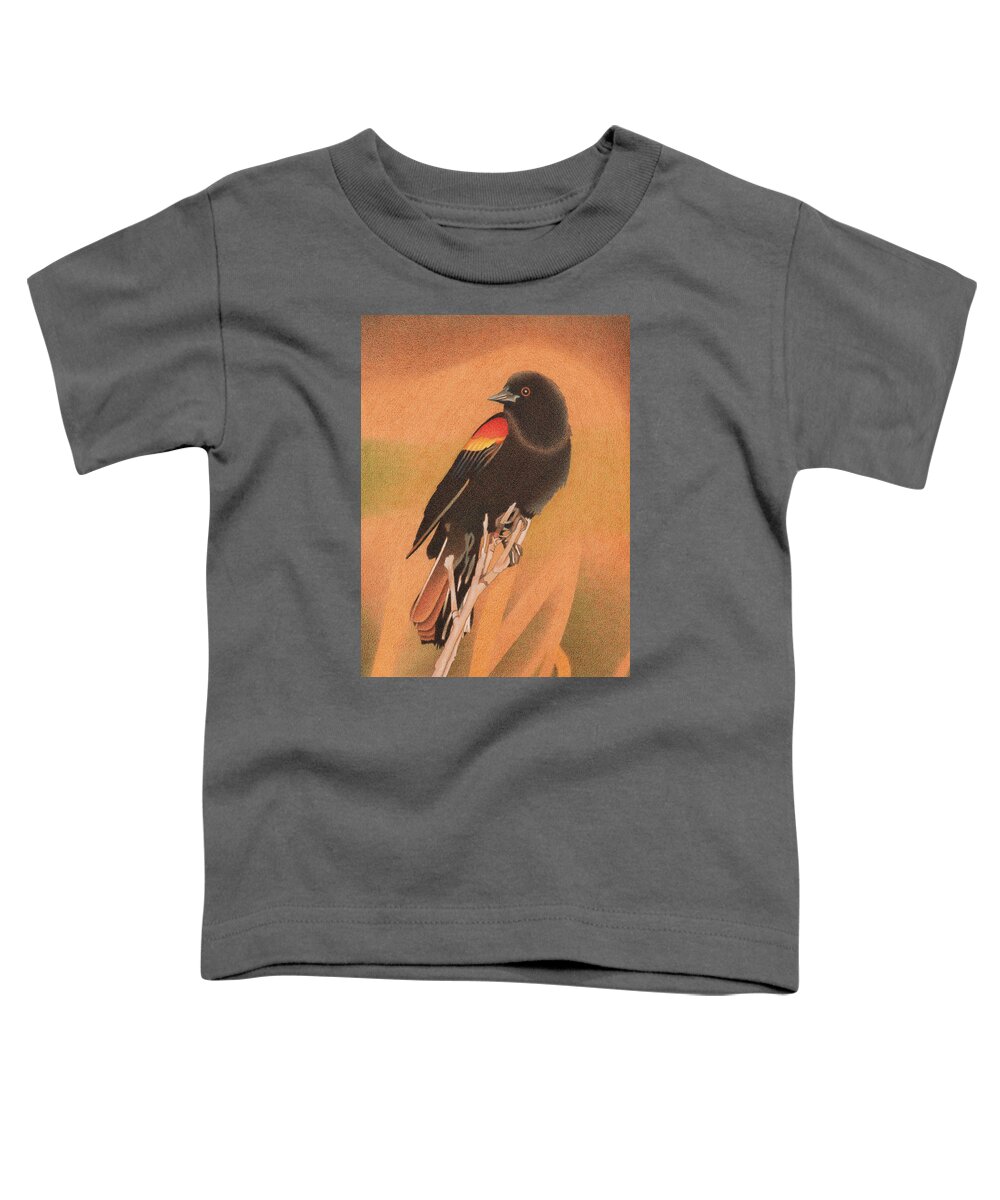 Art Toddler T-Shirt featuring the drawing Red-winged Blackbird 3 by Dan Miller