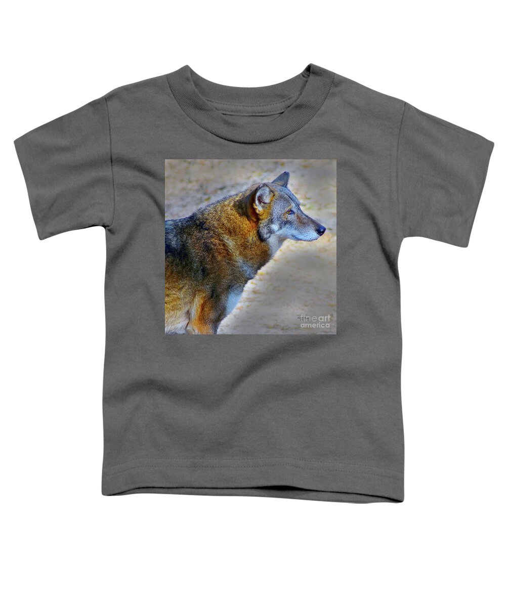 Nature Toddler T-Shirt featuring the photograph Red Wolf Standing by DB Hayes